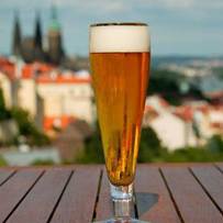 Рецепт чешского пива
